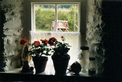 A View from a Cottage Window