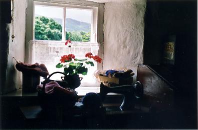 A View from a Cottage Window
